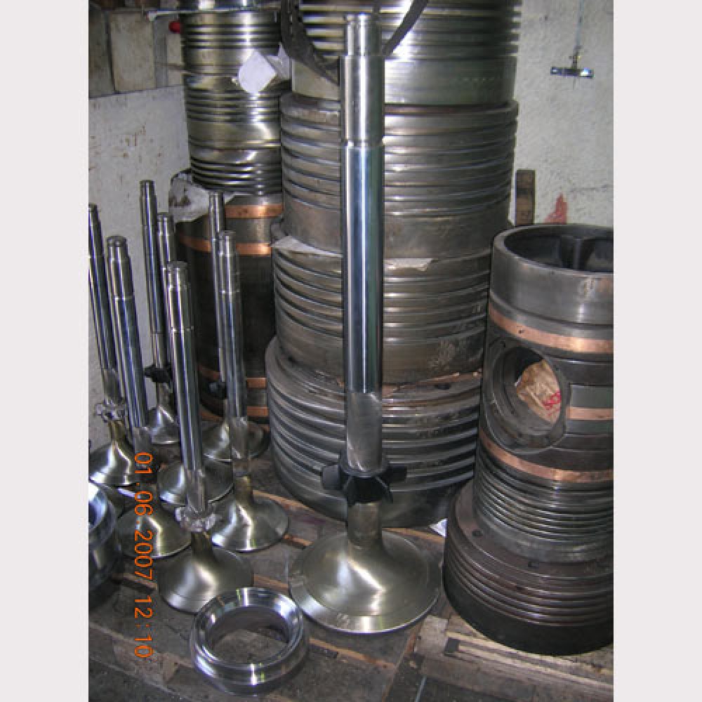 ΚΕΦΑΛΕΣ, ΒΑΛΒΙΔΟΦΟΡΟΙ, ΕΔΡΕΣ ΚΑΙ ΒΑΛΒΙΔΕΣ