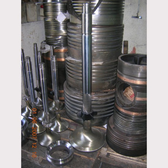 ΚΕΦΑΛΕΣ, ΒΑΛΒΙΔΟΦΟΡΟΙ, ΕΔΡΕΣ ΚΑΙ ΒΑΛΒΙΔΕΣ