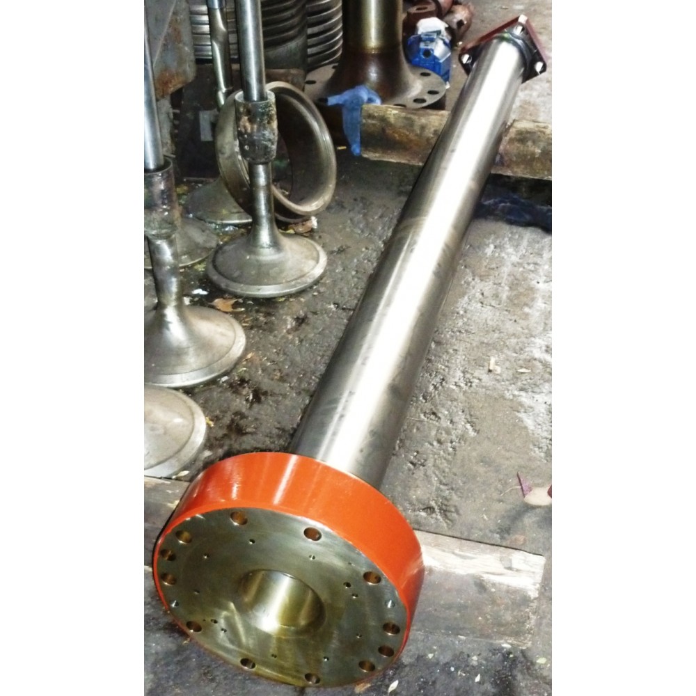 ΒΑΚΤΡΟ ΕΠΙΣΚΕΥΑΣΜΕΝΟ