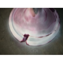 RYE-CHECK ΒΑΛΒΙΔΑΣ